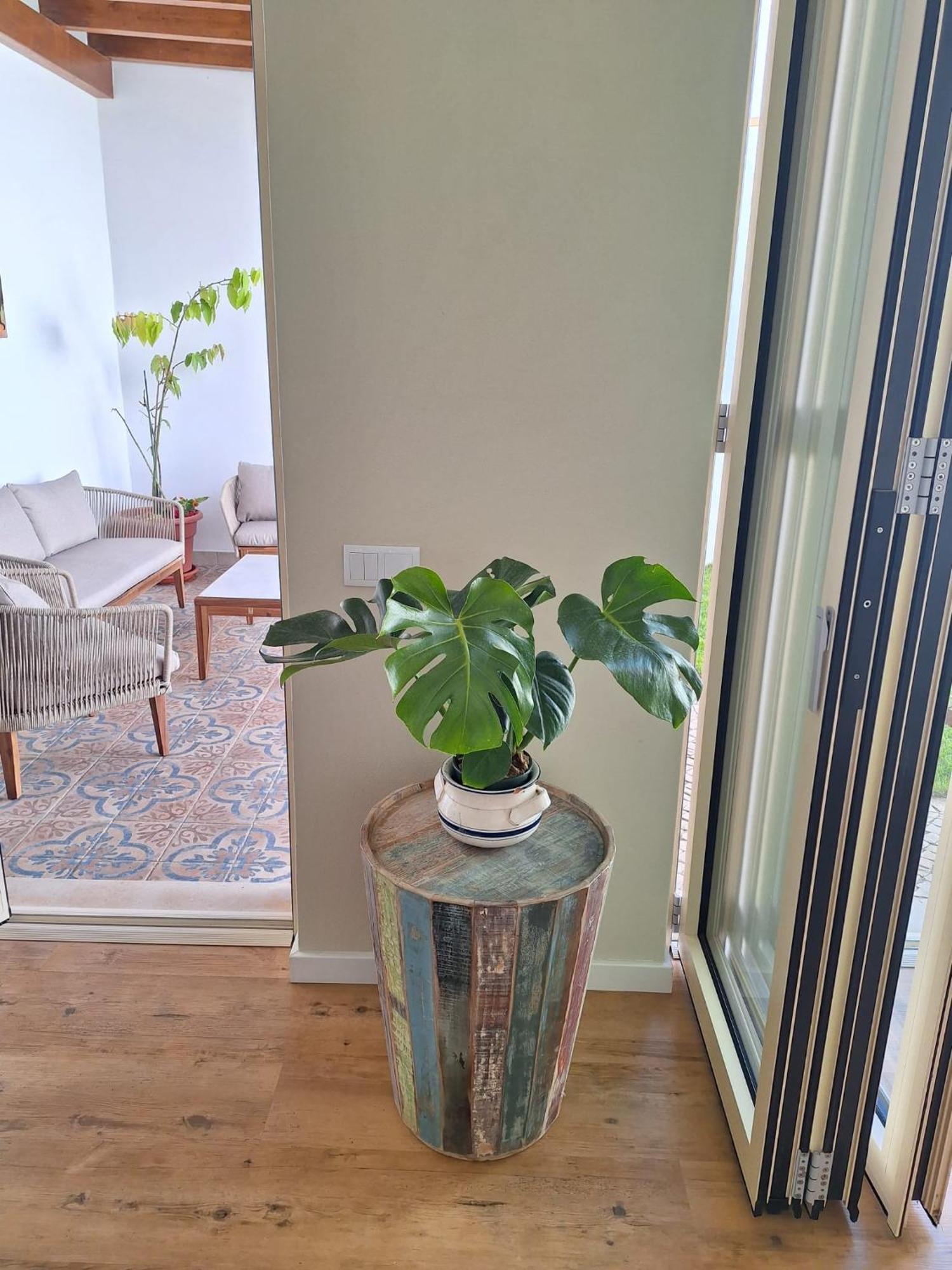 Santa Cruz - B&B 拉哥斯 外观 照片